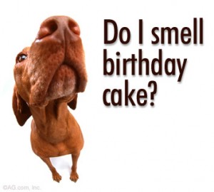 Do-I-Smell-Birthday-Cake